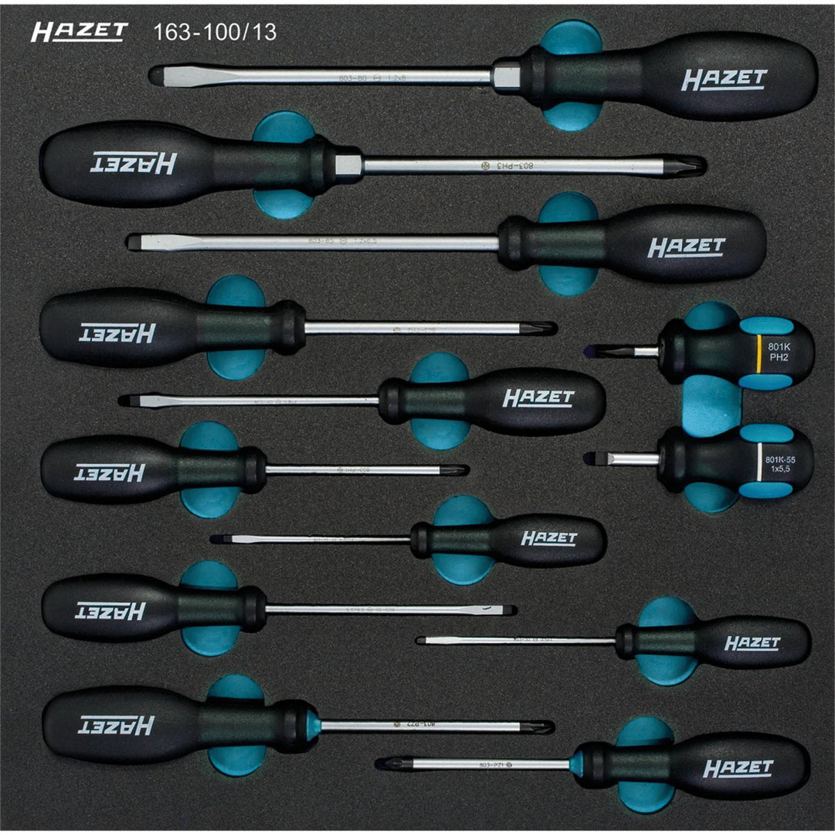 Hazet 163-100/13 Screwdriver set
