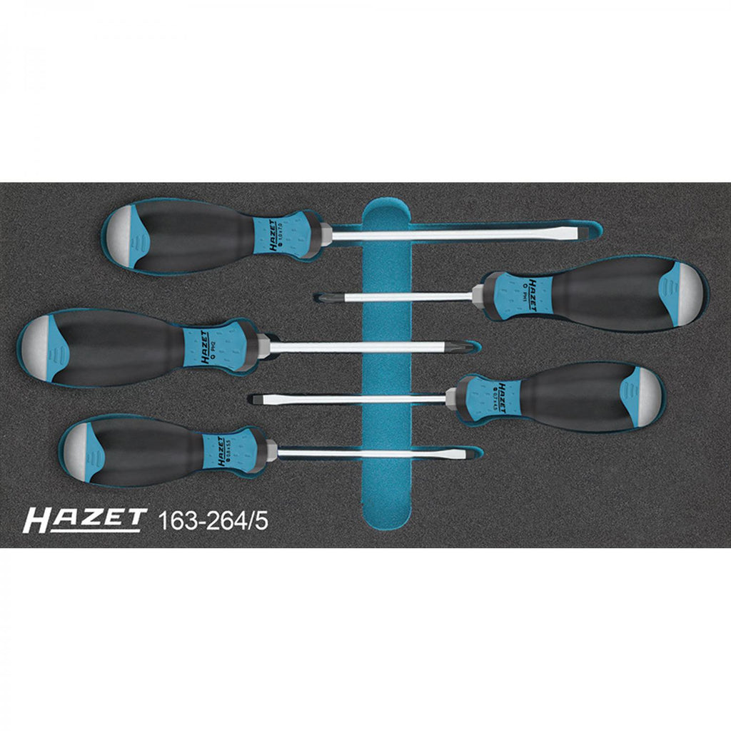 Hazet 163-264/5 Screwdriver Set with Impact Cap – Jens Putzier Tools